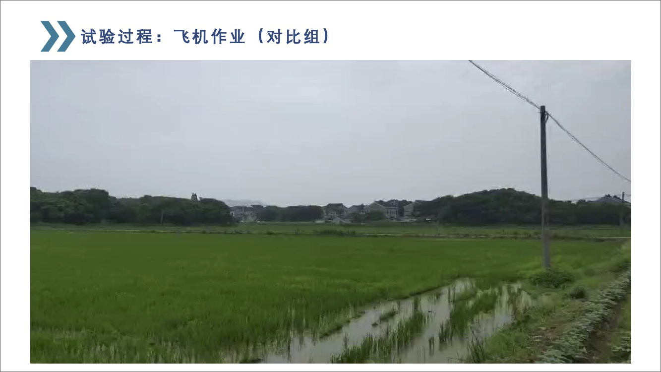 苏州市农垦迂里农场-9.jpg