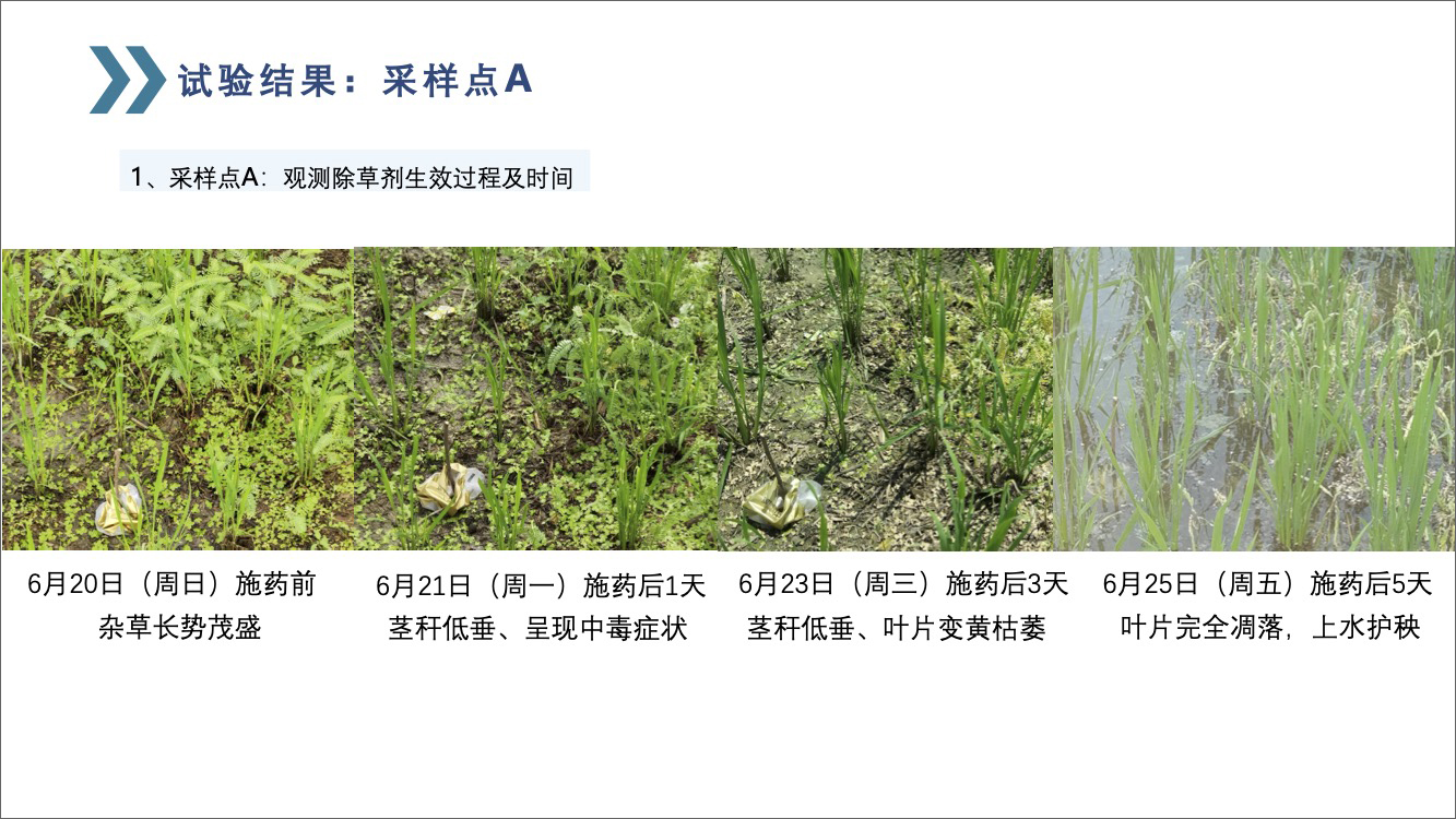 苏州市农垦迂里农场-11.jpg