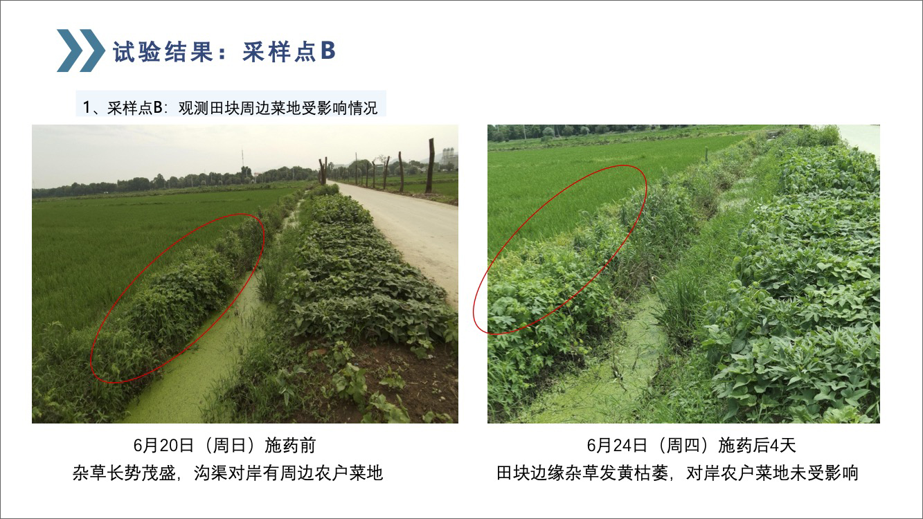 苏州市农垦迂里农场-12.jpg