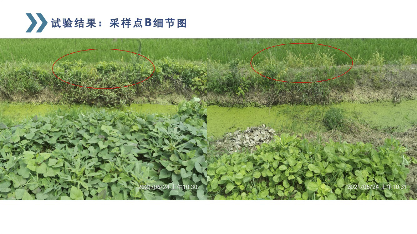 苏州市农垦迂里农场-13.jpg