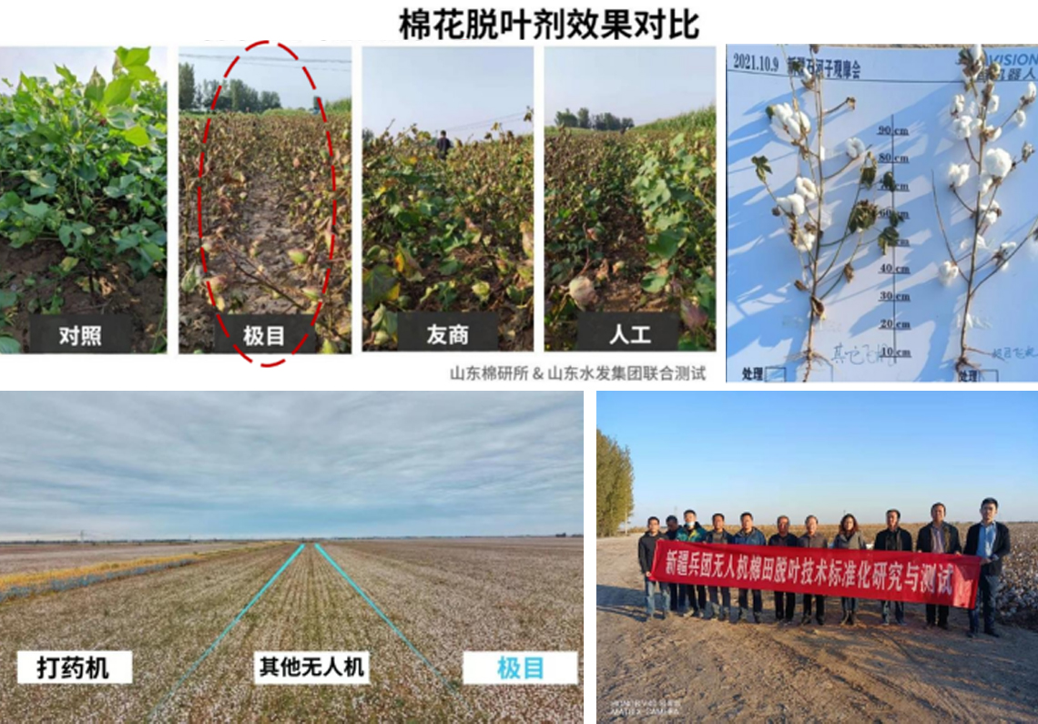 新疆棉花-2.jpg