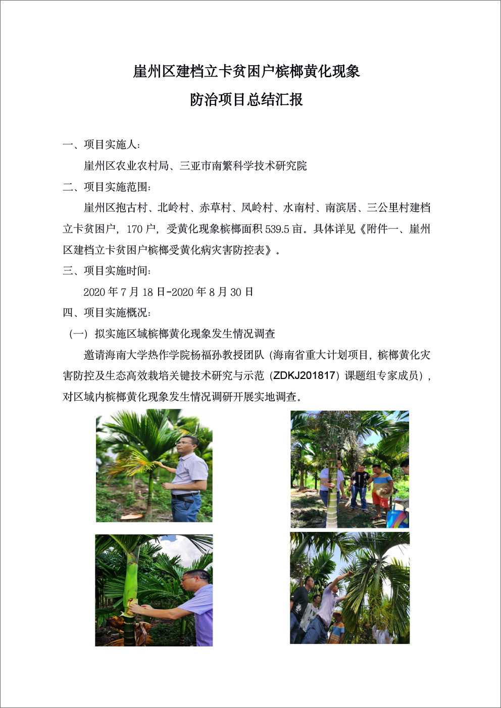 崖州区-1.jpg