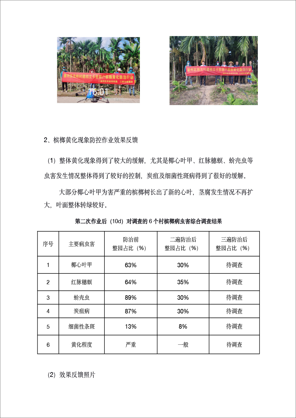 崖州区-4.jpg