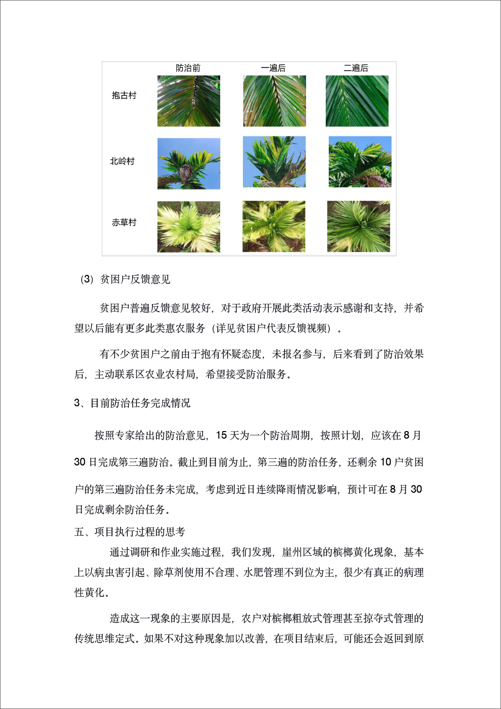 崖州区-5.jpg