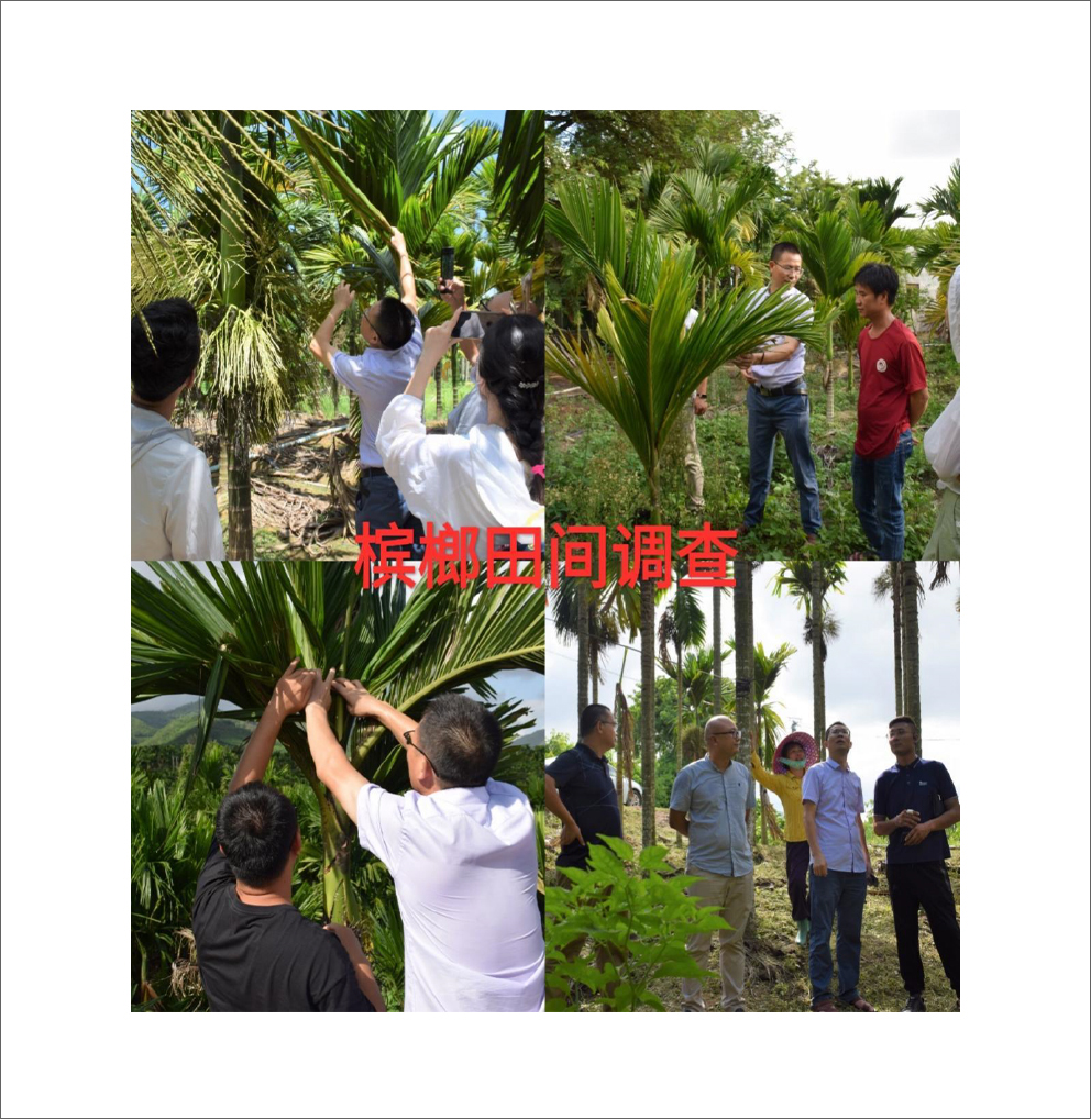崖州区-18.jpg