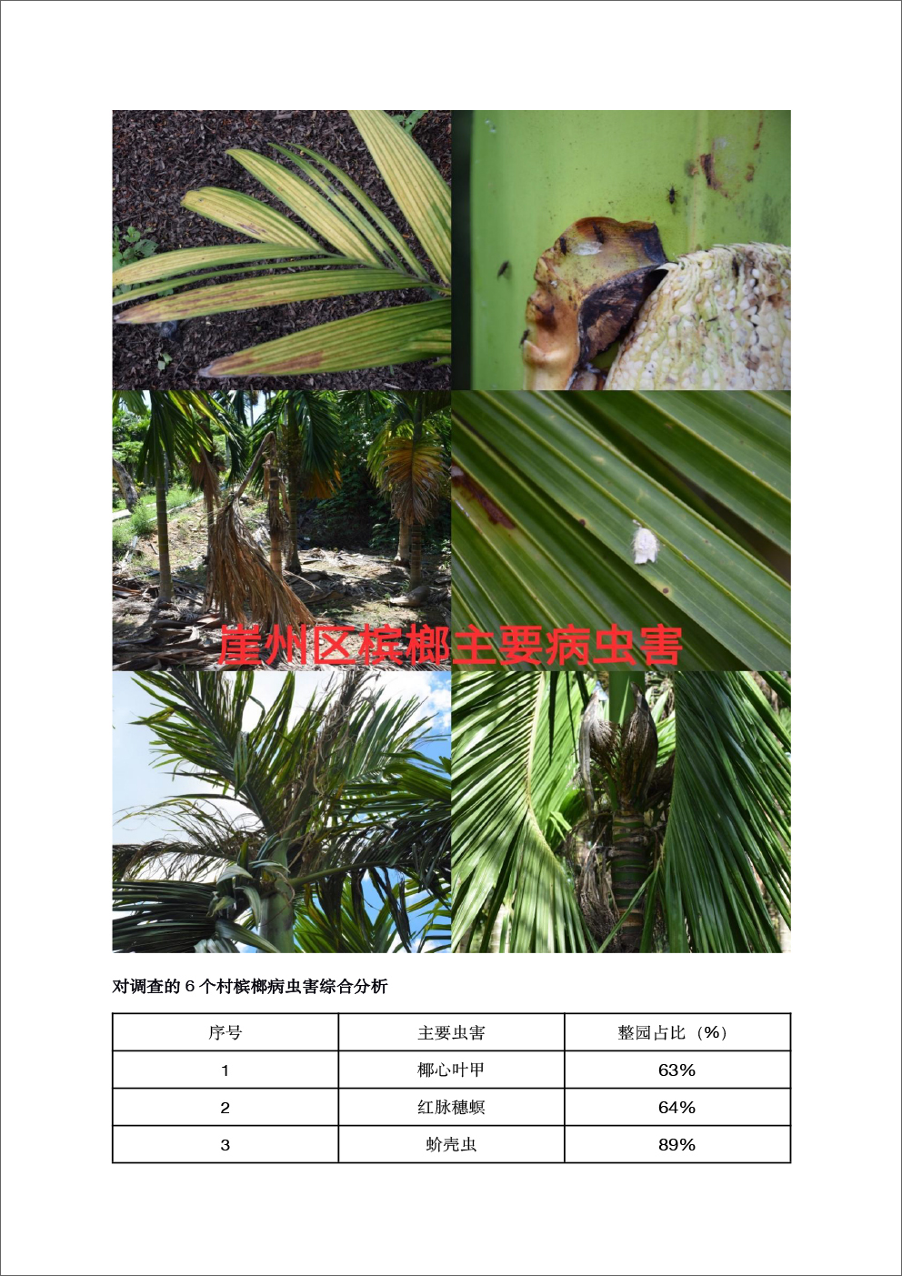 崖州区-20.jpg